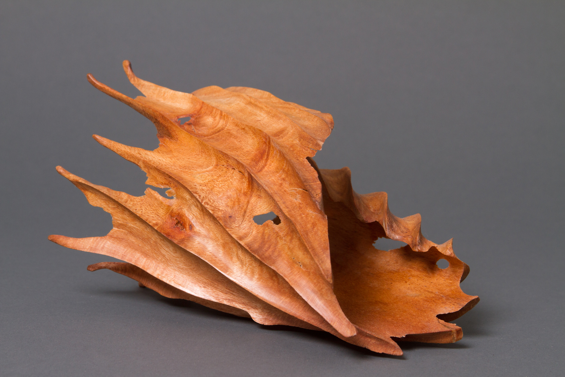 Ennosse (Shell) by Jeannette Rein