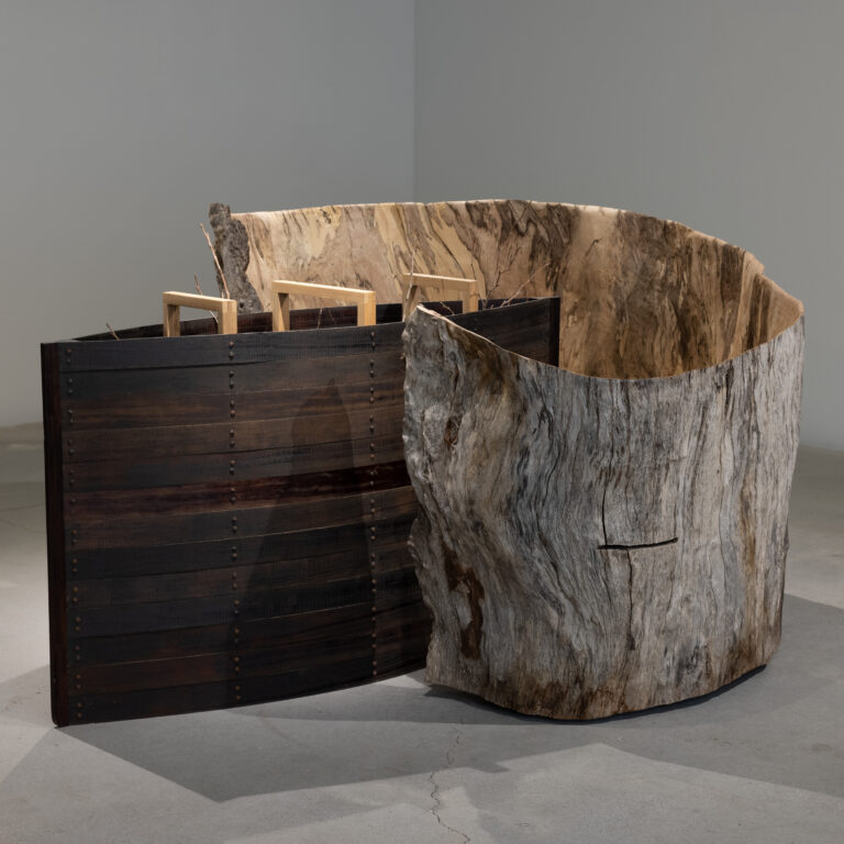 Vessel: Embodiment, Autonomy, and Ornament in Wood