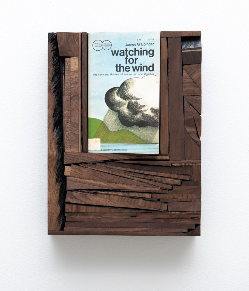 Watching for the Wind-The seen and. Unseen influences on Local Weather