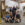 workshop shoot grp photo 1_1
